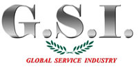Global Service Industries